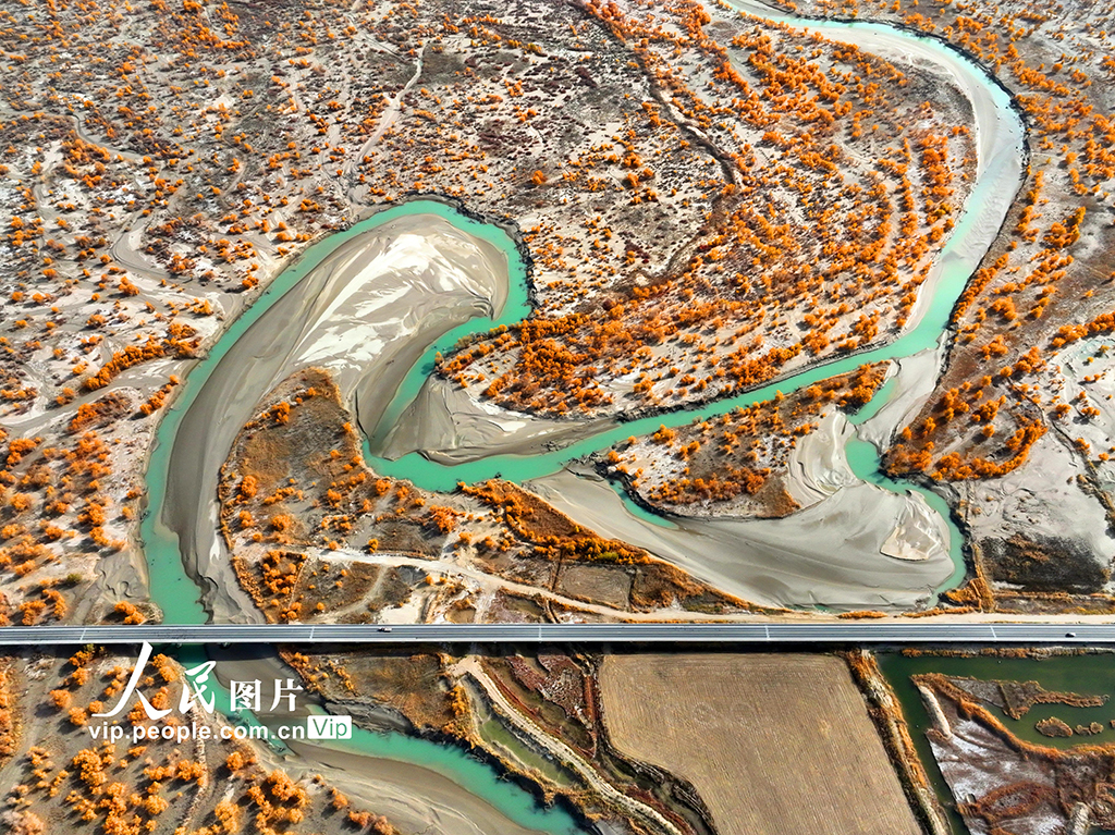 �½�����ľ�ӣ�ʪ�غ��������ѹ����ڡ�4��