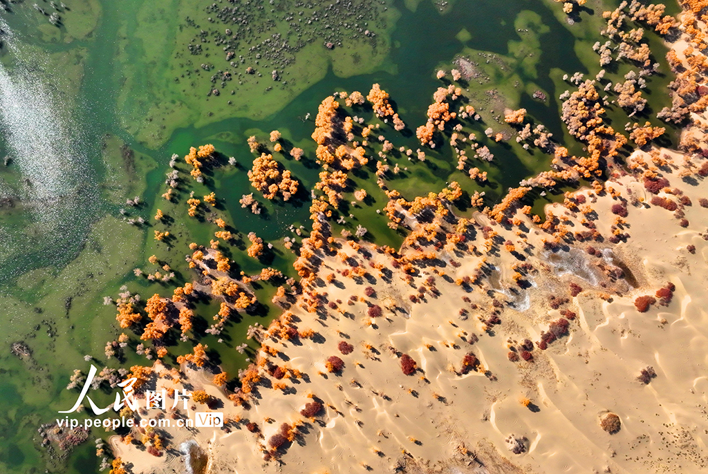 �½�����ľ�ӣ�ʪ�غ��������ѹ����ڡ�6��