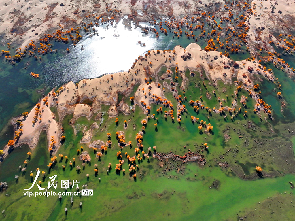 �½�����ľ�ӣ�ʪ�غ��������ѹ����ڡ�7��