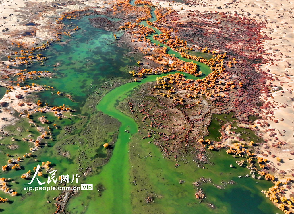 �½�����ľ�ӣ�ʪ�غ��������ѹ����ڡ�8��