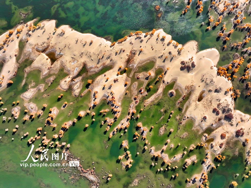 �½�����ľ�ӣ�ʪ�غ��������ѹ����ڡ�9��